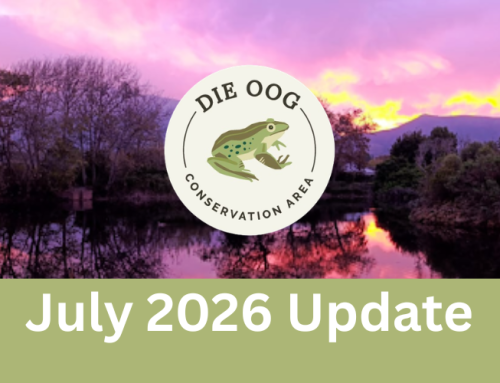 July 2026 Newsletter